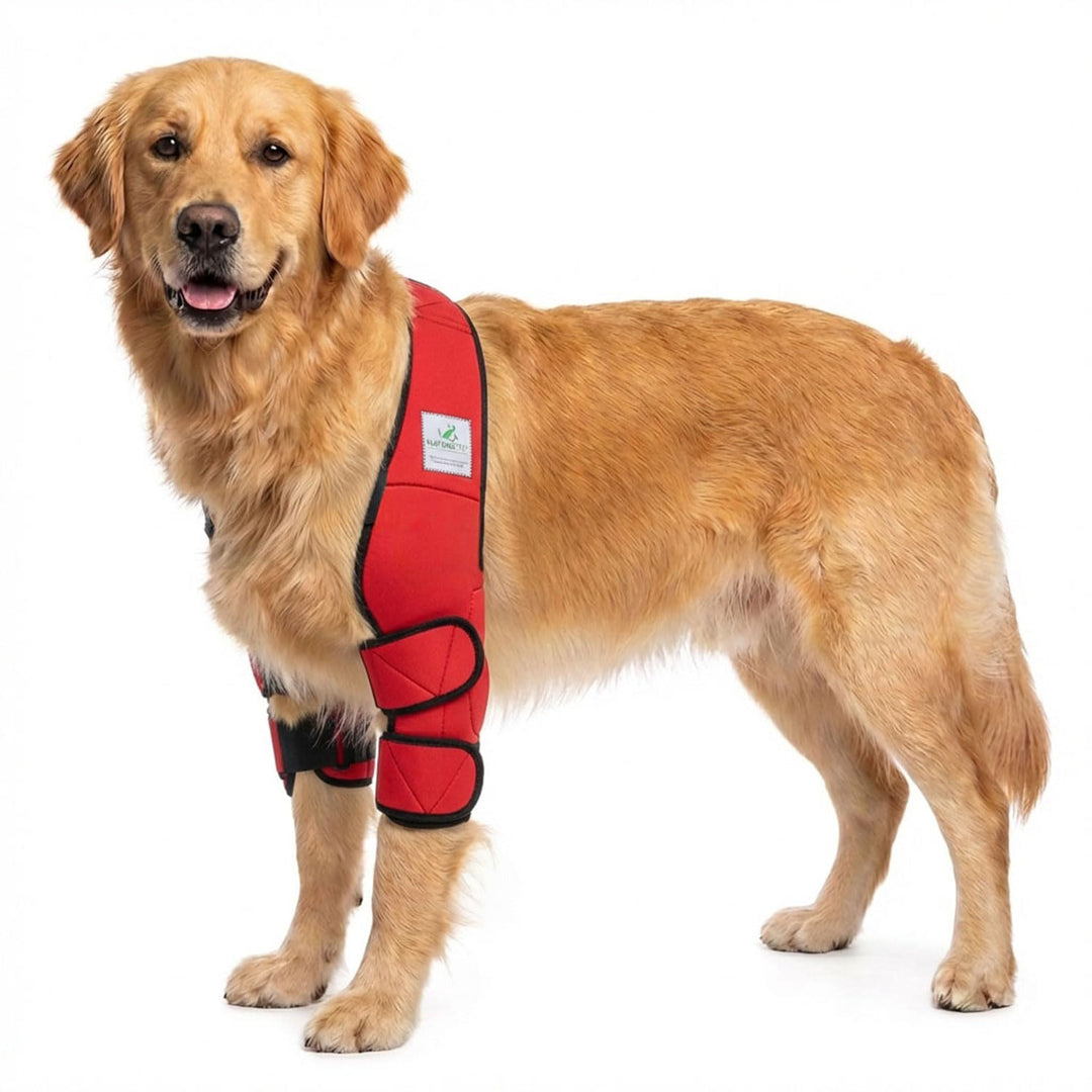 Nature Pet ® Ellenbogenbandage Hund/Ellenbogenschoner mit Netzeinsatz für Kühl- oder Wärmepads ideal