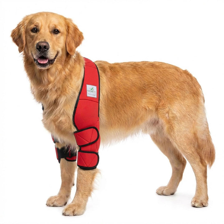 Nature Pet ® Ellenbogenbandage Hund/Ellenbogenschoner mit Netzeinsatz für Kühl- oder Wärmepads ideal