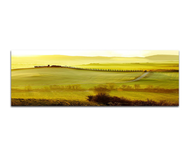 Panoramabild auf Leinwand und Keilrahmen 150x50cm Toskana Strasse Haus Landschaft Morgenlicht
