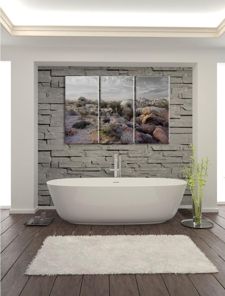 Pixxprint Joshua Wüste im Sonnenuntergang B&W Detail 3-Teiler Leinwandbild 120x80 Bild auf Leinwand