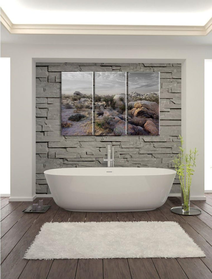 Pixxprint Joshua Wüste im Sonnenuntergang B&W Detail 3-Teiler Leinwandbild 120x80 Bild auf Leinwand