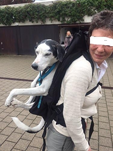 Small PREMIUM Hundetasche als Hunderucksack / Rucksack für Hunde / Hundetrage / Hundetragetasche / H