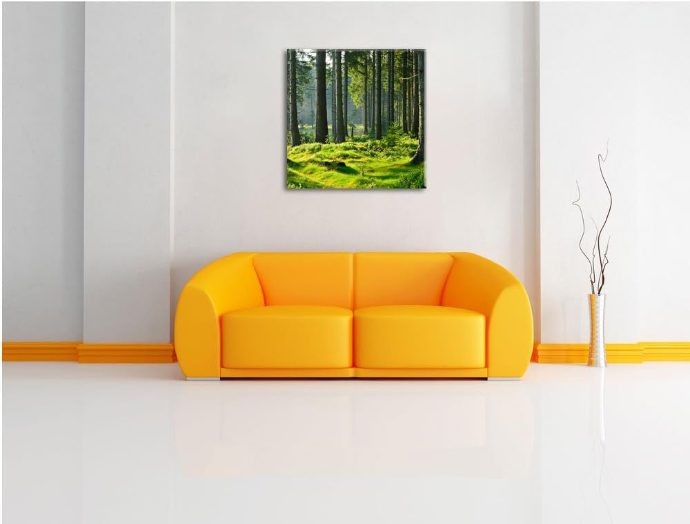 sonniger Tag im Wald, Format: 70x70 auf Leinwand, XXL riesige Bilder fertig gerahmt mit Keilrahmen,