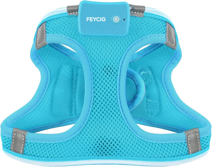 Leuchtend Hundegeschirr LED Aufladbar - Leuchtgeschirr Leuchtendes & Reflektierendes für Welpe Klein