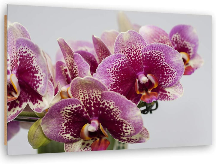 Wandbild Orchideen Modern Deko Kunst Bilder Natur Violett 90x60 cm Deko Paneel 90x60 cm Violett_d, D
