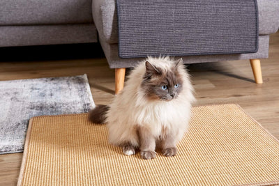 Kratzmatte für Katzen - Fussmatte Sisal Kratzteppich - natürliche Sisalmatte robust - Vorleger aus 1