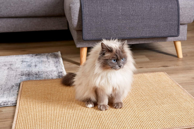 Kratzmatte für Katzen - Fussmatte Sisal Kratzteppich - natürliche Sisalmatte robust - Vorleger aus 1