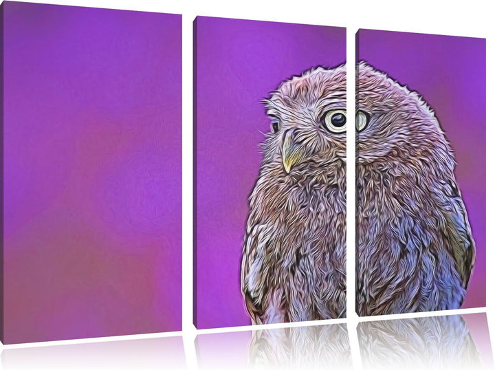 schöne junge Eule NewArt 3-Teiler Leinwandbild 120x80 Bild auf Leinwand, XXL riesige Bilder fertig g