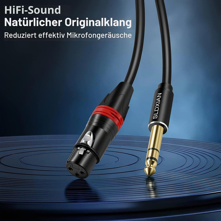 SLDXIAN 6,35mm TRS Klinke auf XLR Buchse Mikrofonkabel, 1/4 Zoll Klinke auf XLR Female Kabel (10M, F