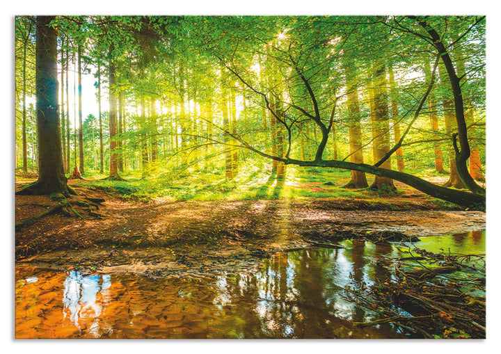 ARTland Spritzschutz Küche aus Alu für Herd Spüle 80x55 cm (BxH) Küchenrückwand mit Motiv Natur Land