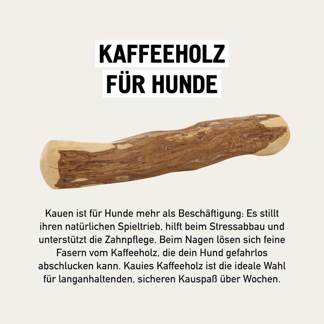 Kauies Kaffeeholz für Hunde mit Olivenöl - Hundespielzeug 100% natürlich, vegan, koffeinfrei &amp; kalor