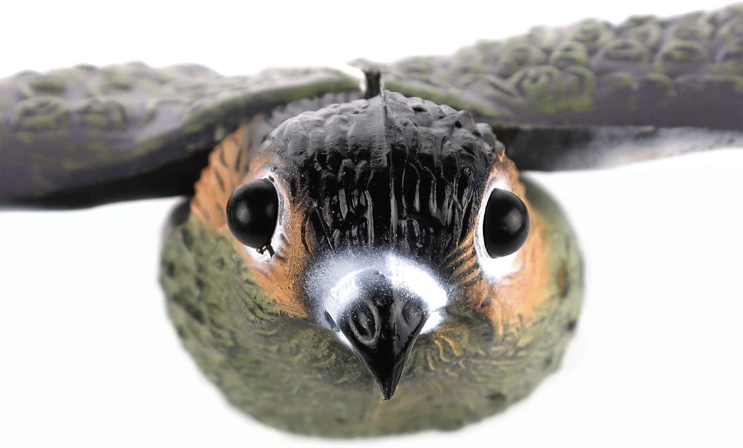 Vogelscheuche und Nagerschreck 52 cm Spannweite - ideal gegen lästige Tauben, Amseln und Elstern.