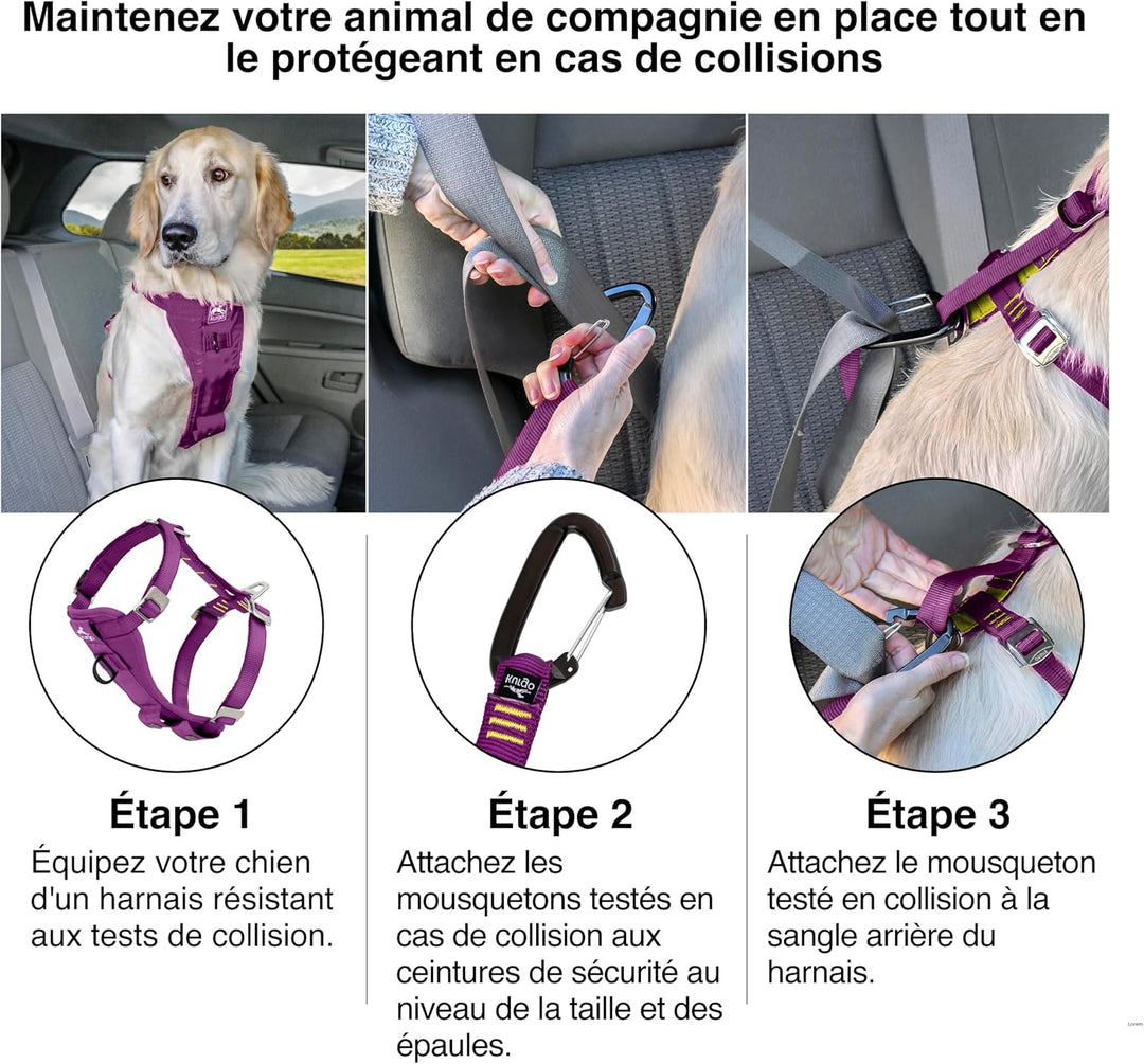 Kurgo Tru-Fit Hundegeschirr, Crash-Test-erprobtes Auto-Sicherheitsgurt, Für Hunde von 2 bis 5 kg, Gr