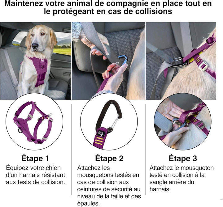 Kurgo Tru-Fit Hundegeschirr, Crash-Test-erprobtes Auto-Sicherheitsgurt, Für Hunde von 2 bis 5 kg, Gr
