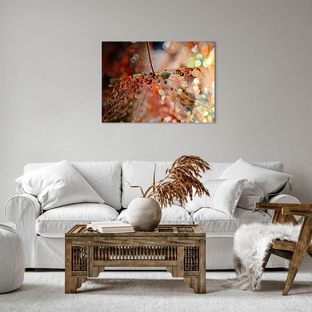 Bilder auf Leinwand Spinnennetz modern Leinwandbild mit Rahmen 70x50cm Wandbilder Dekoration Wohnzim