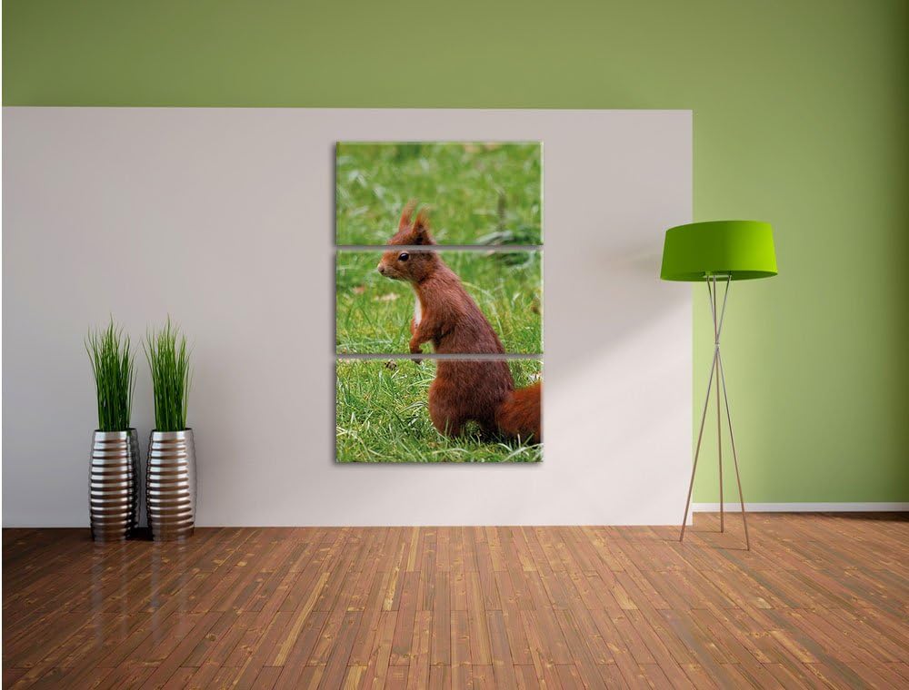 Pixxprint Eichhörnchen als Leinwandbild/Grösse: 3 Teilig (120x80) cm/Wandbild/Kunstdruck/fertig besp