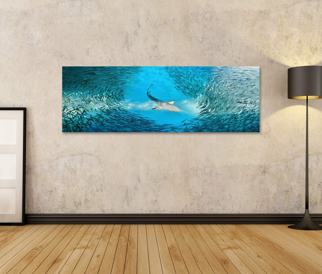 islandburner Bild auf Leinwand Hai Und Kleine Fische Im Ozean Bilder Wandbilder Poster Leinwand 120x