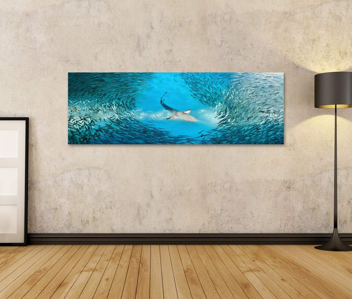 islandburner Bild auf Leinwand Hai Und Kleine Fische Im Ozean Bilder Wandbilder Poster Leinwand 120x