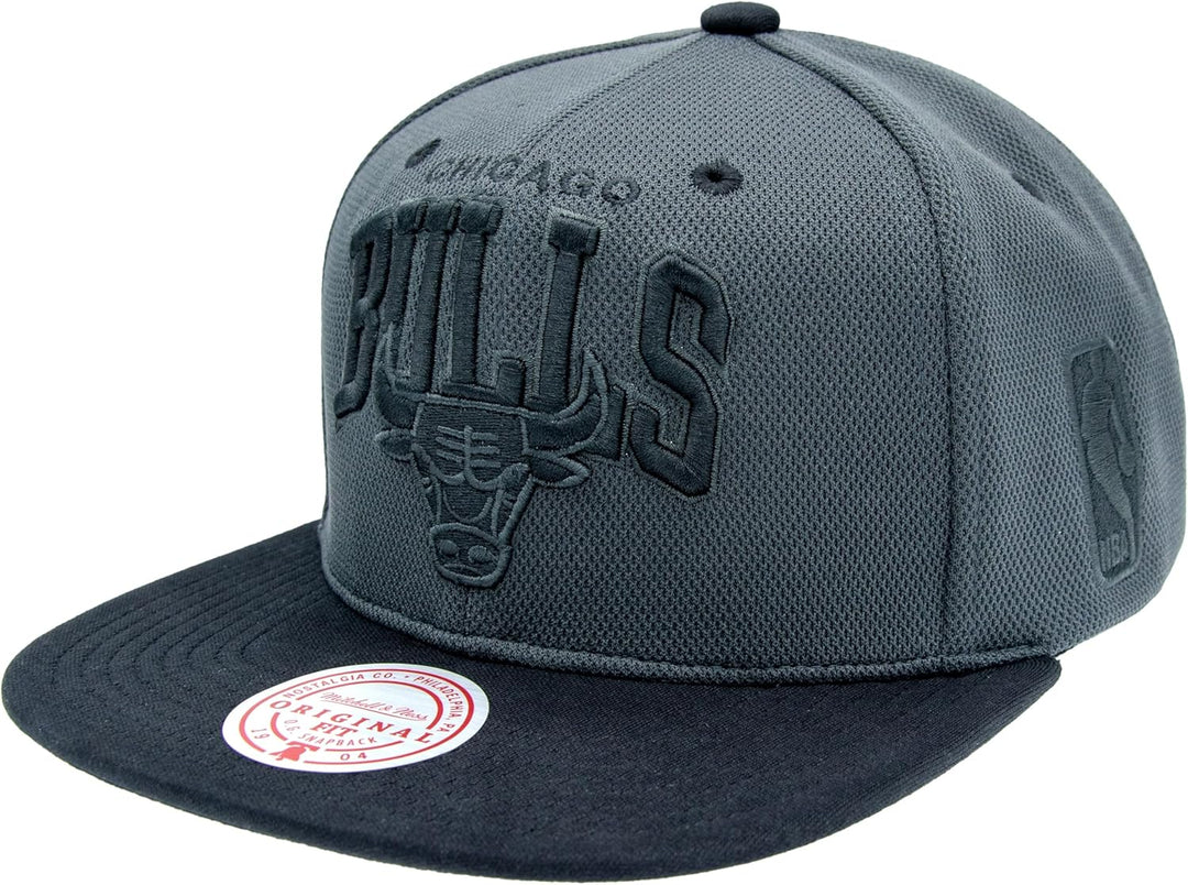 Mitchell & Ness Resist 3D Arch Snapback (NBA/NHL), Chicago Bulls, Grau