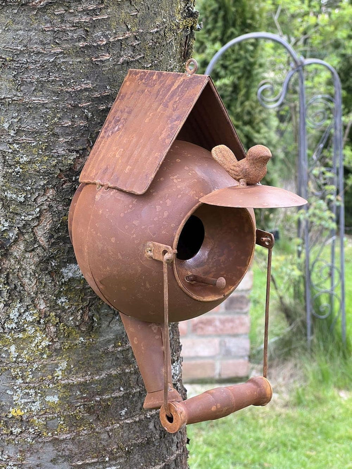 DanDiBo Vogelhaus zum Aufhängen Edelrost Deko Rost Giesskanne Wetterfest 96422 Nistkasten Futterstat