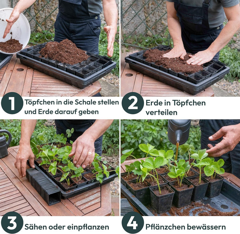 UDOPEA Manna Profi Pflanzschale 60 x 40 x 6,5 cm stabile Gewächshaus-Wanne ohne Bodenlöcher wasserdi
