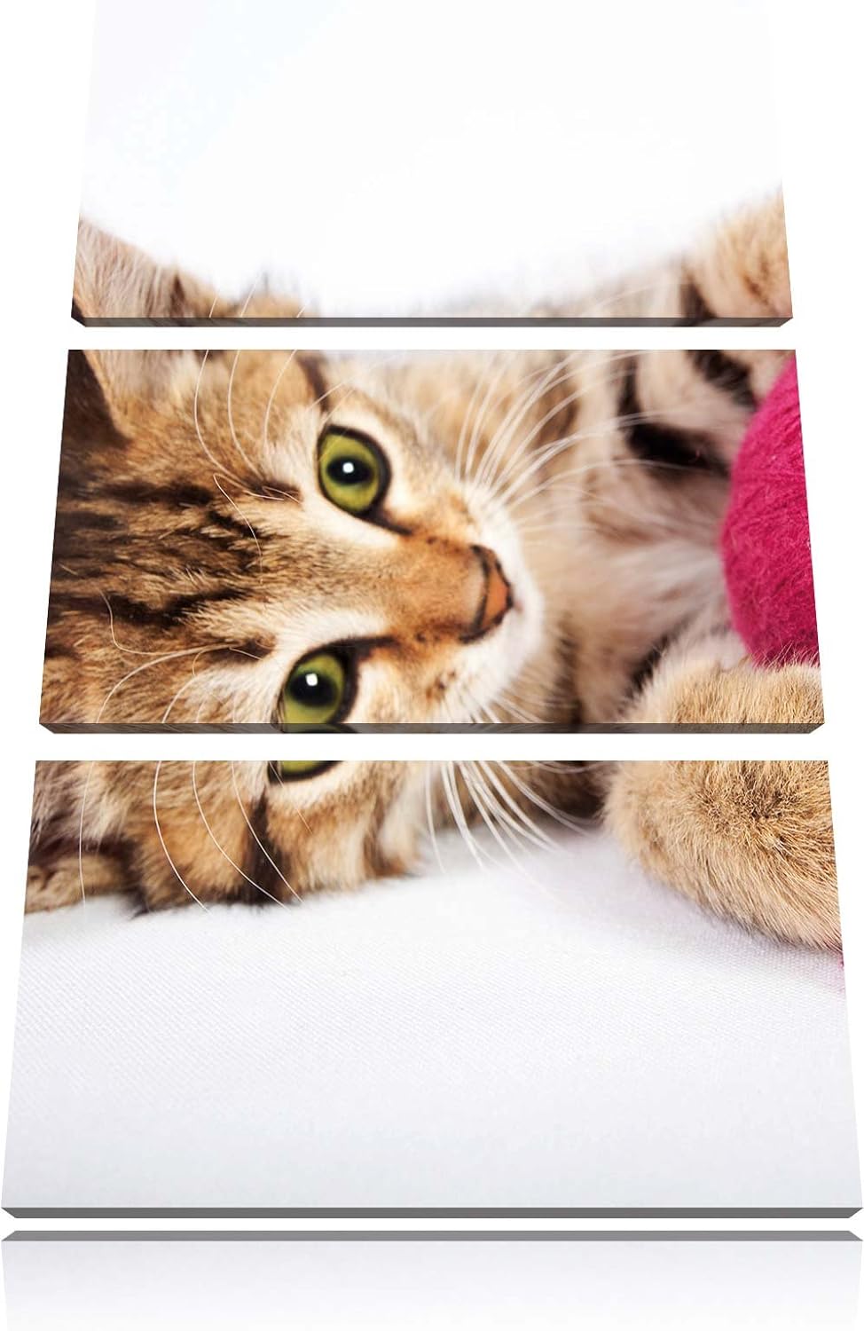 Pixxprint Kätzchen mit Wollknäuel als Leinwandbild/Grösse: 3 Teilig (120x80) cm/Wandbild/Kunstdruck/