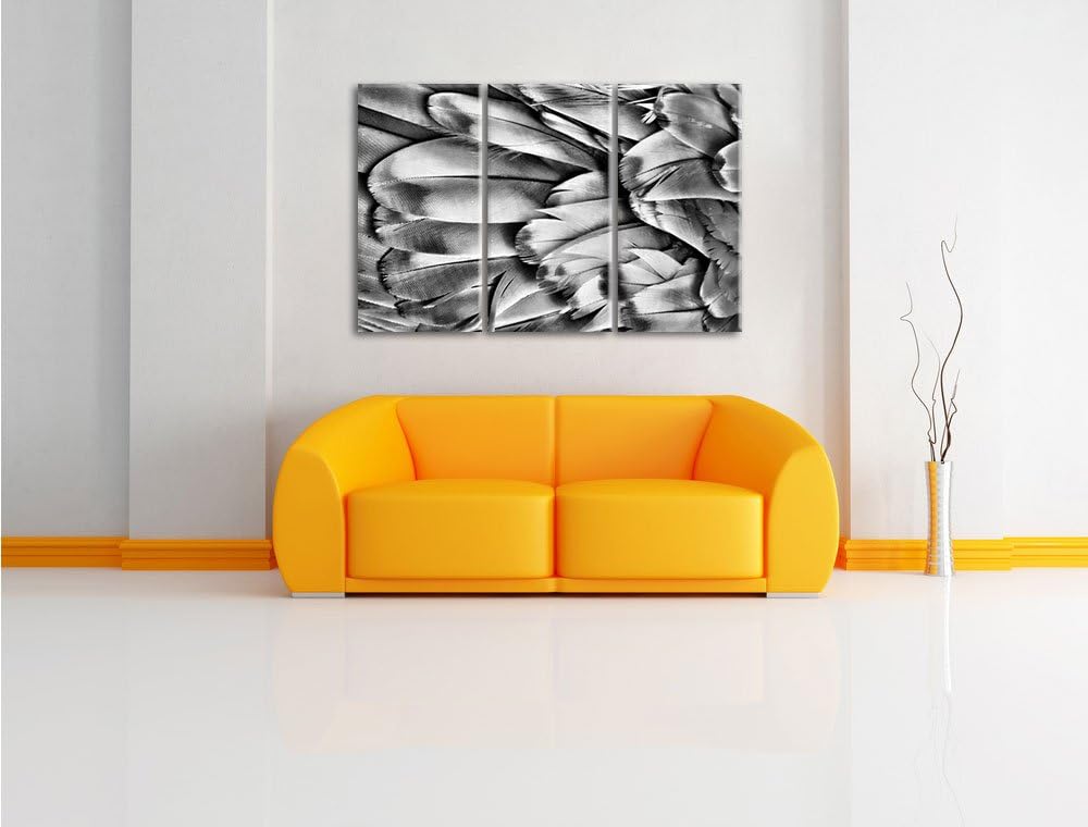 Pixxprint Bunte Papageienfedern als Leinwandbild/Grösse: 3 Teilig (120x80) cm/Wandbild/Kunstdruck/fe