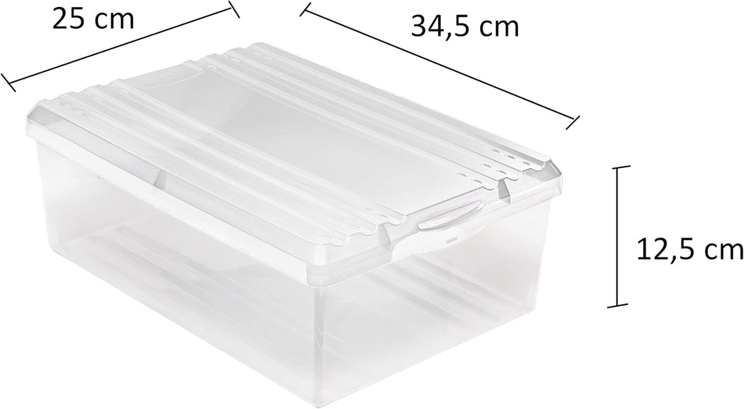 BranQ - Home essential Schuhbox Shoe Box mit Belüftungshaltelöcher und Deckel Kunststoff, 8l, Set vo