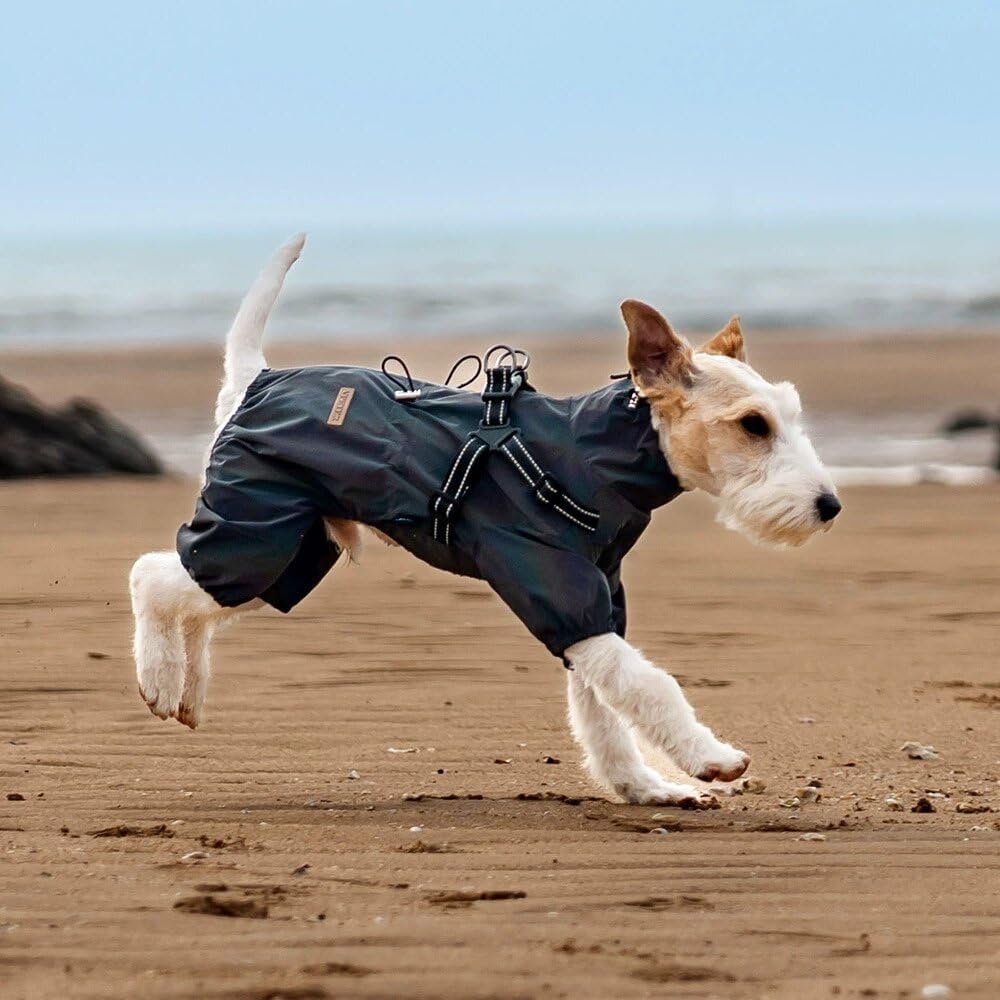 Hundegeschirr, Regenmantel, verstellbar, 4 Beine, Hundejacke mit Geschirr, reflektierender Overall,