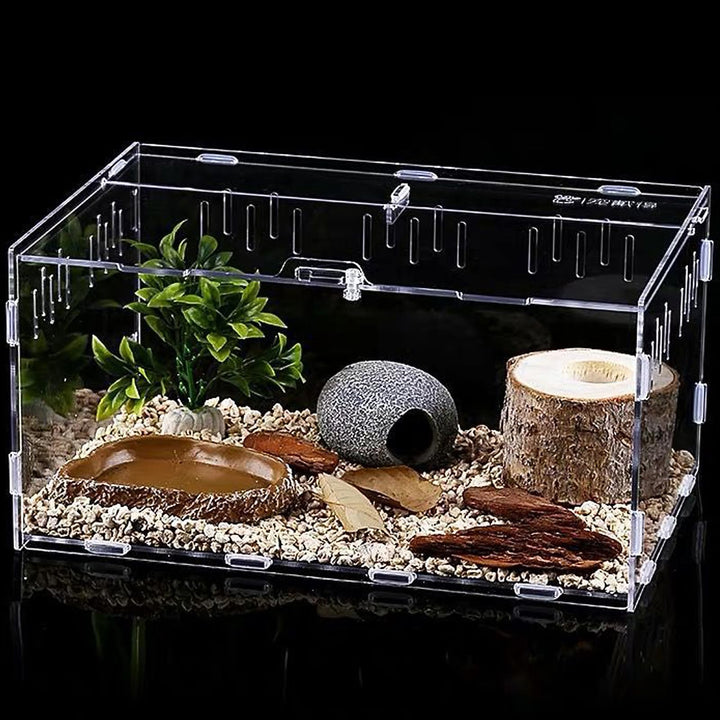 Reptile Fütterungsbox,Acryl Transparent Transport Box,Geeignet für Eidechsen, Spinnen, Hornfrösche u