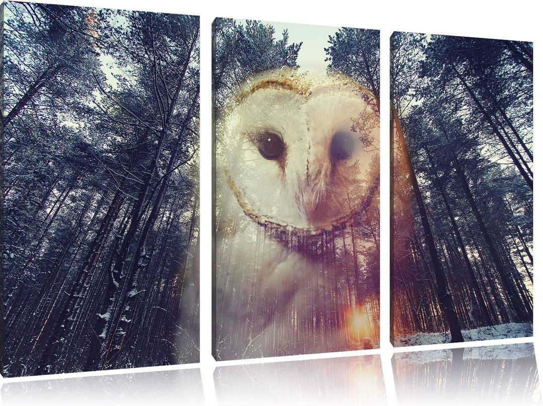 Pixxprint Portrait Einer Eule als Zeichen des Waldes 3-Teiler Leinwandbild 120x80 Bild auf Leinwand
