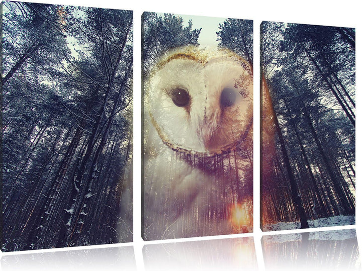 Pixxprint Portrait Einer Eule als Zeichen des Waldes 3-Teiler Leinwandbild 120x80 Bild auf Leinwand