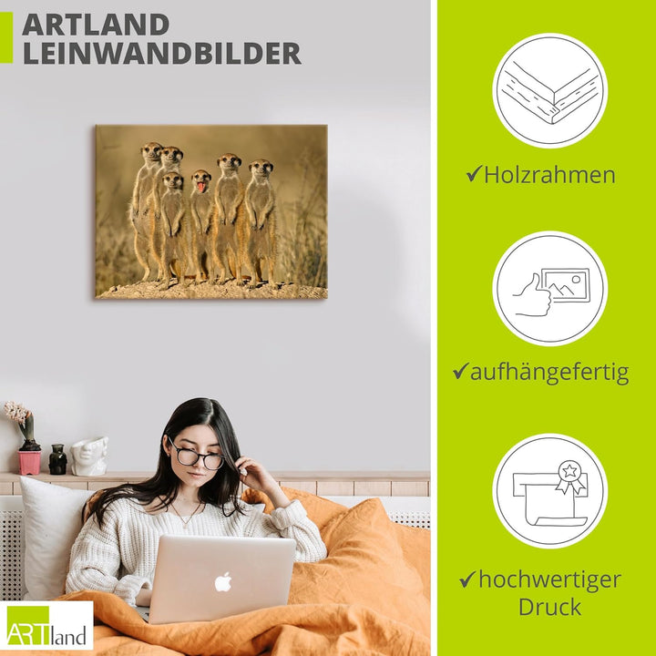 ARTland Leinwandbilder Wandbild Bild auf Leinwand 80x60 cm Erdmännchen Familie T5MH Erdmännchen Fami