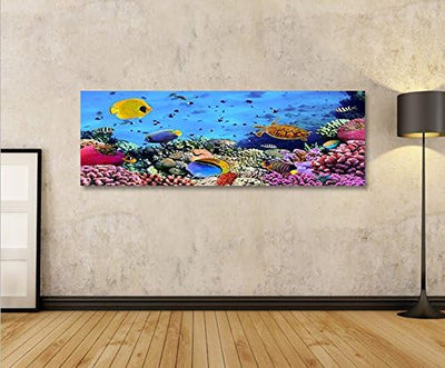 islandburner Bild Bilder auf Leinwand Aquarium Fische Meerwasser Tropische Doktorfische Panorama XXL