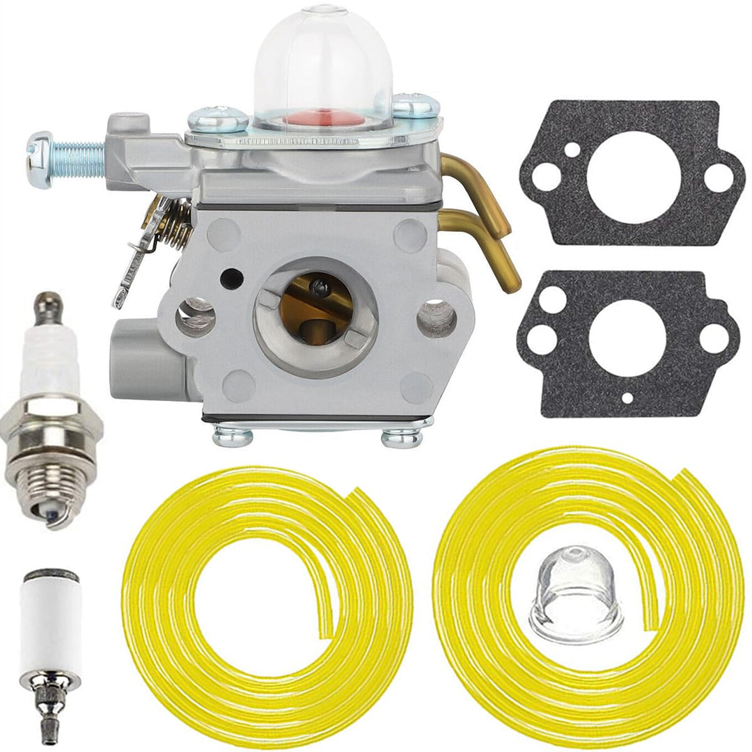 308054001 Vergaser für Homelite 26CC UT08580 UT08981 UT50500 UT50901 UT21947 UT21907 UT21546 UT21566