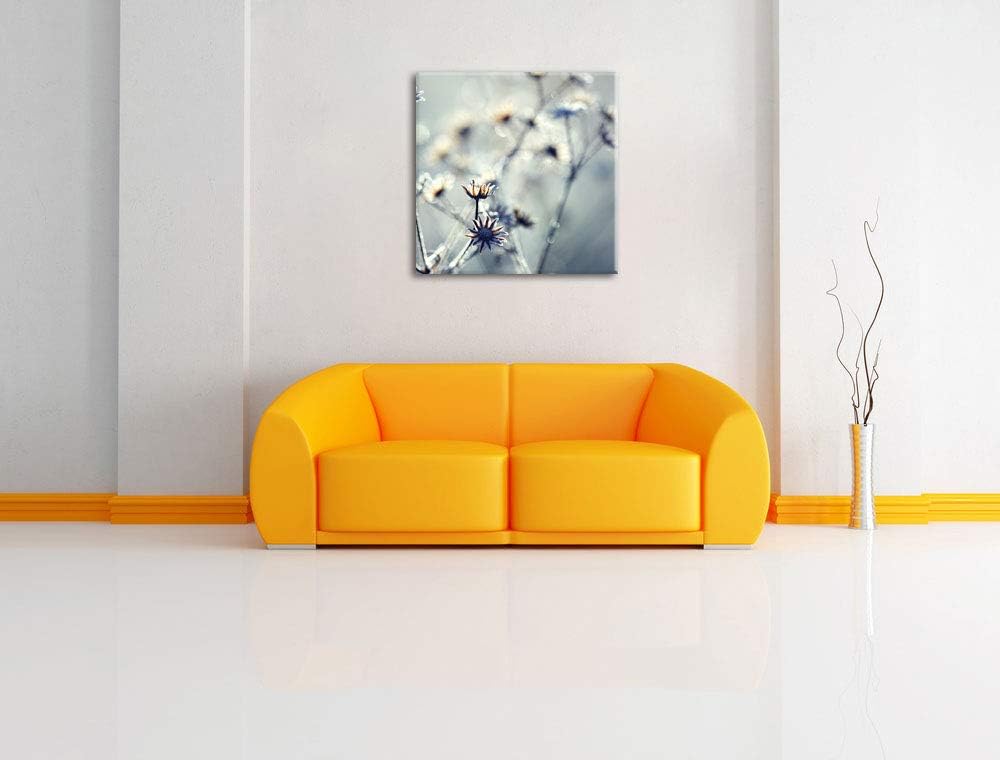 Pflanzen im Frost, Format: 70x70 auf Leinwand, XXL riesige Bilder fertig gerahmt mit Keilrahmen, Kun