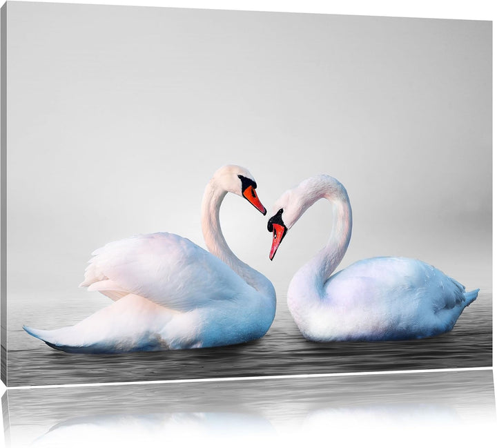 Pixxprint Schwäne auf dem Wasser als Leinwandbild/Grösse: 100x70 / Wandbild/Kunstdruck/fertig bespan