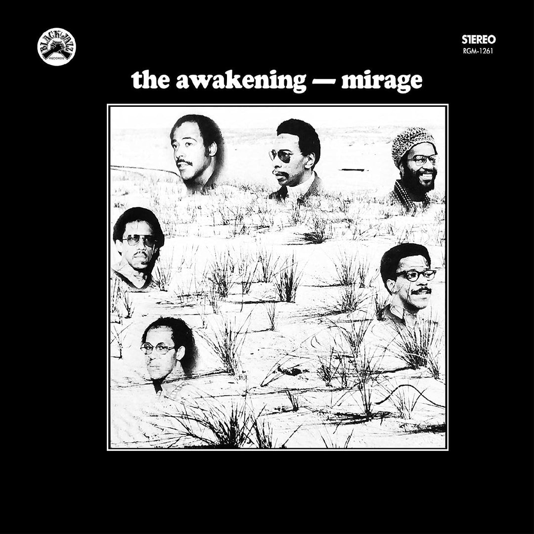 Mirage, Vinyl