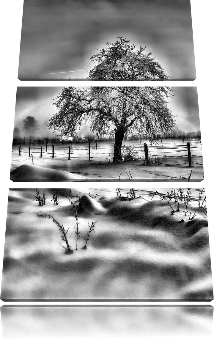 Pixxprint Baum in Winterlandschaft als Leinwandbild/Grösse: 3 Teilig (120x80) cm/Wandbild/Kunstdruck