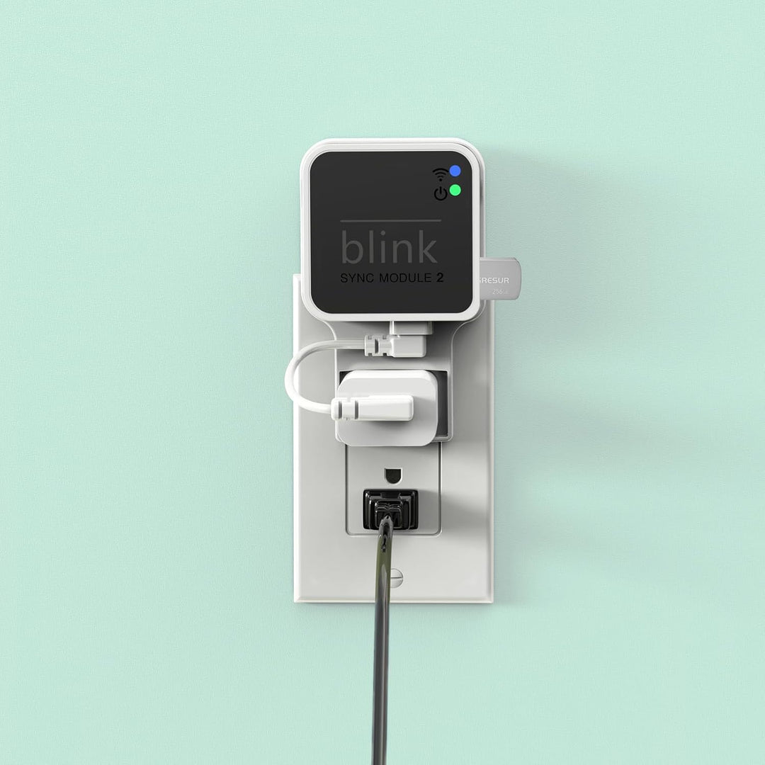 256 GB Blink USB-Speicherstick für lokale Video-Speicher mit dem Blink Sync Modul 2 Halterung (Blink
