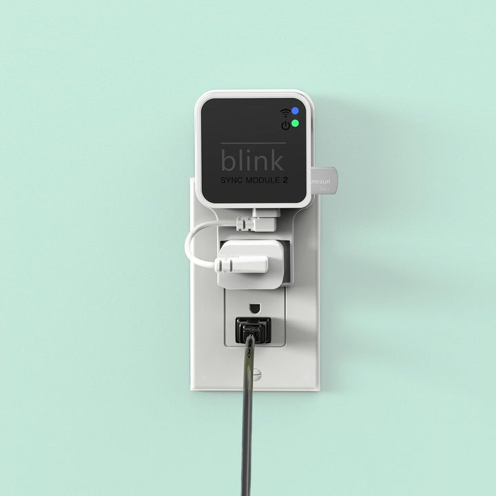 256 GB Blink USB-Speicherstick für lokale Video-Speicher mit dem Blink Sync Modul 2 Halterung (Blink