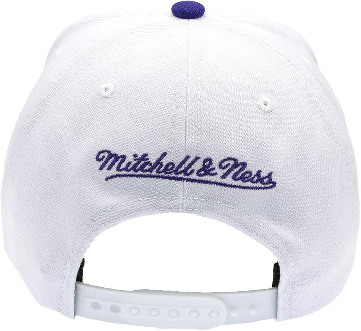 Mitchell & Ness NBA Team 2 Tone 2.0 Pro Snapback HWC Toronto Raptors White/Purple