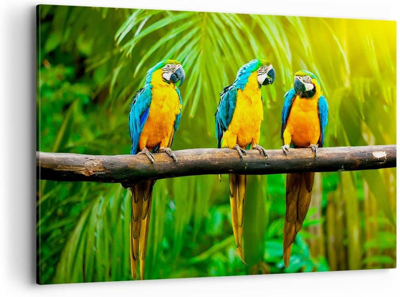 Bilder auf Leinwand 100x70cm Leinwandbild Papageien Collorful Natur Vögel Gross Wanddeko Bild Schlaf