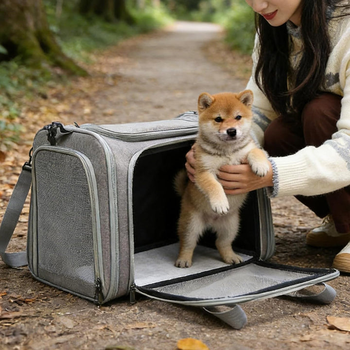 Transporttasche Für Katze Hund, Katzentransporttasche, Faltbare Katzentransportbox, Tragbar Faltbare