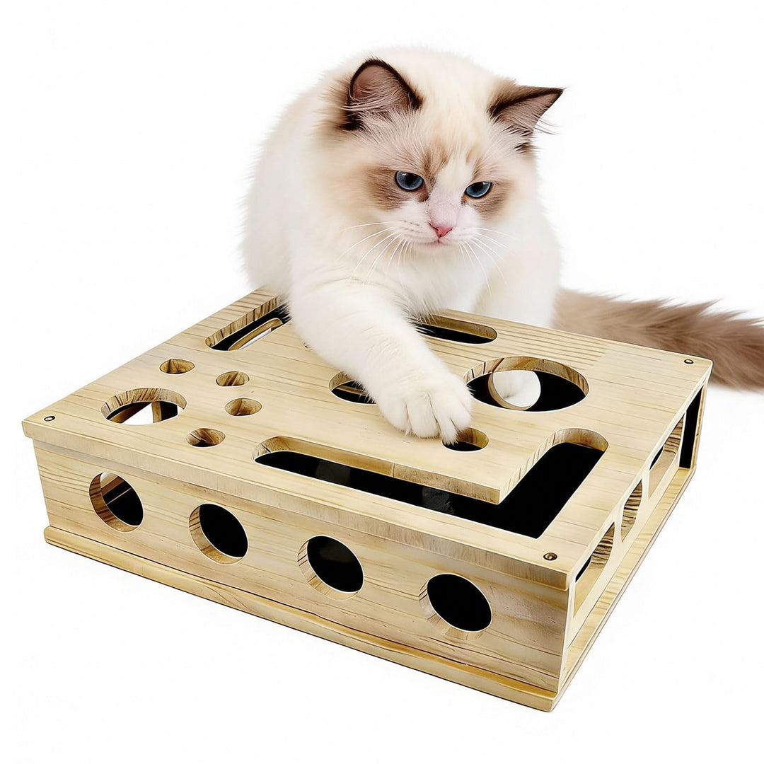 Beschäftigungsbox Krallenfeile Katzen - 30X25X8CM Katzen Kratzbrett, Enrichment für Katzen, Kratzspi