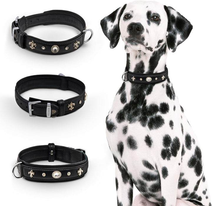 MICHUR Gala Hundehalsband Leder, Lederhalsband Hund, Halsband, Schwarz, Leder, mit Lilien,Strassstei