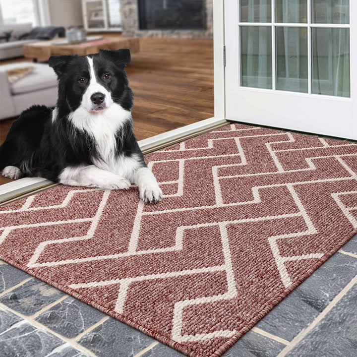 Biscpro Schmutzfangmatte 80 x 100, Rutschfestigkeit Fussmatte,Maschine gewaschen Türmatte für Hund,