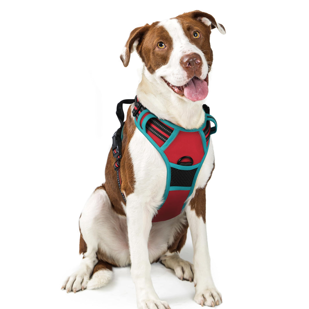 rabbitgoo Hundegeschirr Mittelgrosse Hunde, Anti Zug Geschirr mit Kontrolle, No Pull Verstellbar Hun