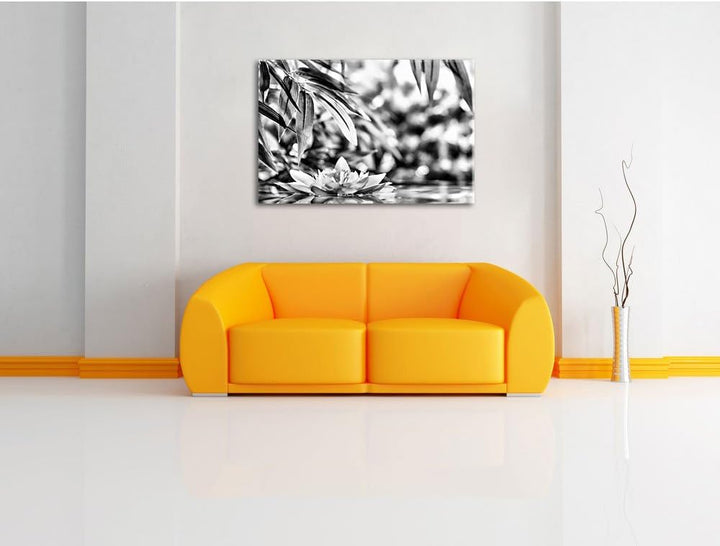 Pixxprint Weisse Seerose im Wasser Wellness als Leinwandbild/Grösse: 100x70 / Wandbild/Kunstdruck/fe