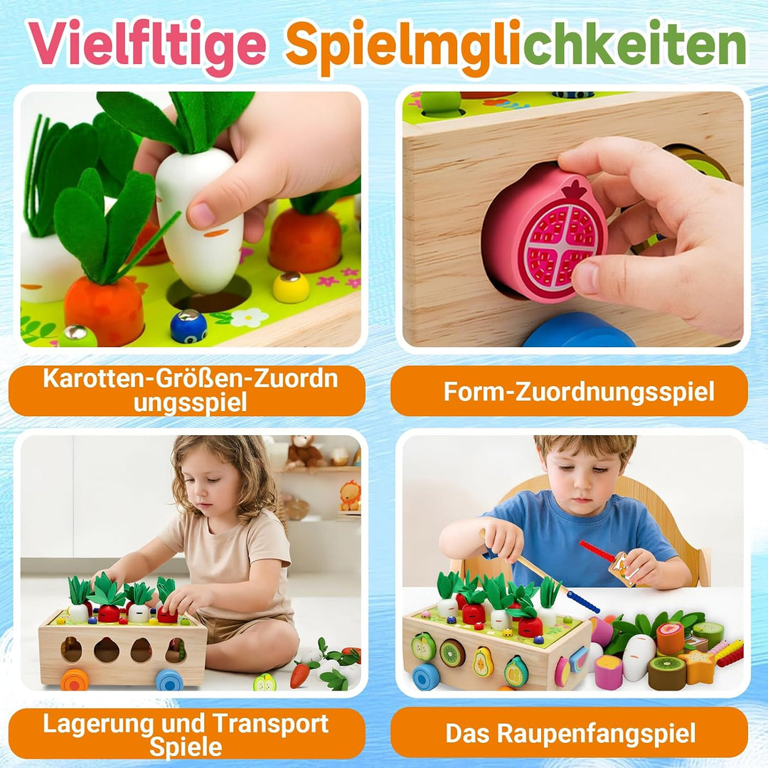 RunHero Montessori Holz Sortierspie Karotten Steckspiel Holzspielzeug ab 1 Jahr Holztiere Motorikspi